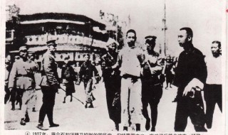 北伐战争简介(北伐战争持续时间多久)
