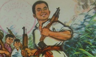 小英雄雨来的故事简介(小英雄雨来的故事介绍)