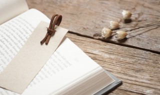 唐僧的人物简介(西游记唐僧简介)