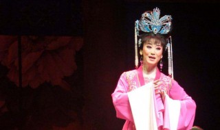 女驸马黄梅戏歌词(女驸马黄梅戏歌词全文)