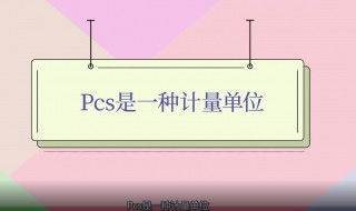 pcs是什么计量单位(pcs是什么意思)