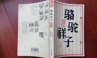 骆驼祥子每章简洁概括(骆驼祥子故事梗概简述)