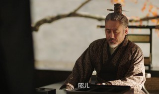 司马昭之心路人皆知的来历(简介司马昭之心路人皆知的来历)