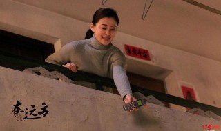 在远方剧情大结局(在远方分集剧情介绍大结局)