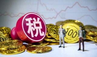 注册税务师协会主要做什么啊(注册税务师协会的简介)