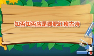 知否知否应是绿肥红瘦古诗(这首诗的作者是谁)