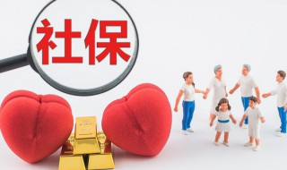 缴费基数是什么(什么是缴费基数)