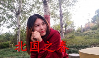 北国之春原唱中文歌词(北国之春原唱中文歌词欣赏)