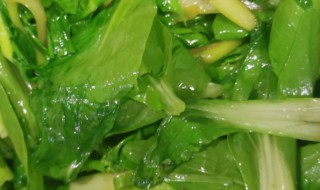 青菜头的家常做法(青菜头的家常做法介绍)