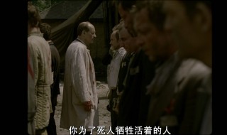 啄木鸟剧情(啄木鸟讲的什么)