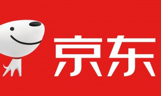 京东发票怎么打印(怎么下载打印京东电子发票)