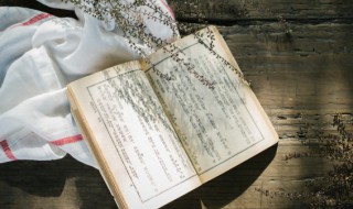 囱可以组什么词(囱组词)