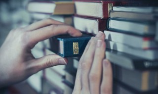 晨五行属什么意思(晨的意思)