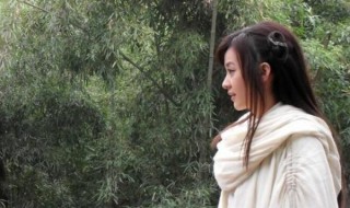 流星蝴蝶剑结局(流星蝴蝶剑大结局)