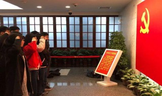 入党申请书抄袭后果(入党申请书抄袭后果简述)