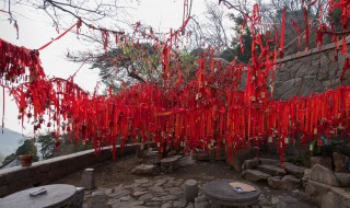祈愿是什么意思(祈愿的意思是什么)