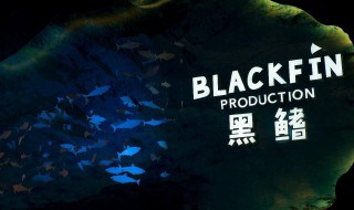 黑鳍的赃物怎么做(在哪里可以击杀)