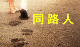 同路人歌词(同路人歌词是什么)