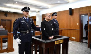 孙小果犯了什么罪(孙小果具体犯了什么罪)