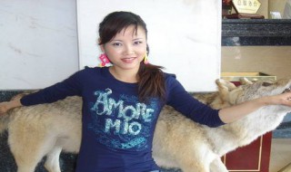 戴娆个人资料(戴娆中国内地女歌手)