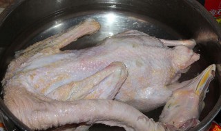 杀鸭的正宗方法(怎么杀鸭)