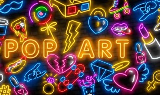 pl什么意思(pl是什么意思)