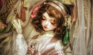 养bjd娃娃有什么禁忌(养bjd娃娃有什么注意事项)