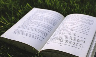 毒唯什么意思(毒唯解释)