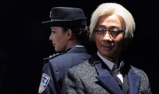 廖芳华是哪个电视剧里的公安局局长(铁骨芳心)