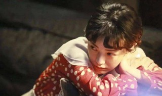 喜宝最后的结局是什么(喜宝简介)