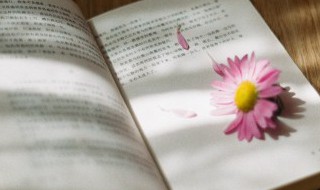 瑞霖在字典里的意思(瑞霖是什么意思在字典里)