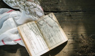 关于七律长征的资料(七律长征的资料介绍)