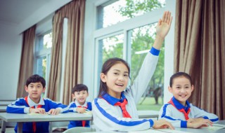 杉的组词(杉组词是什么)