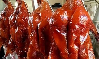 广东烧鸭的做法与配方(关于广东烧鸭的做法与配方)