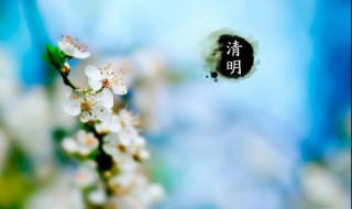 清明节是农历几月几日(清明节是农历三月十二)