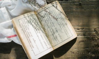 u是什么意思(u意思是什么)