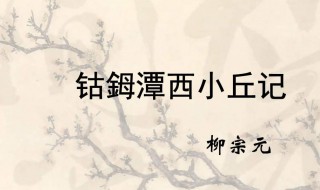寻山口西北道二百步的西北是什么意思(寻山口西北道二百步原文)