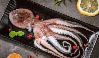 八爪鱼头里的东西能吃吗(八爪鱼头里的东西能不能食用呢)