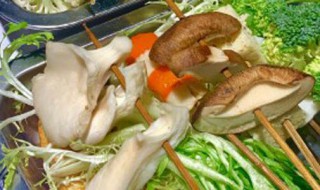 海蘑菇是什么(关于海蘑菇的介绍)