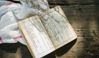 车字加一笔是什么(车字加一笔是什么字)