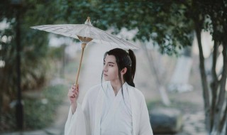 小女子不才未得公子青睐是什么歌名(原唱完整歌词)