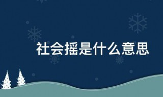 社会摇是什么意思(关于社会摇的介绍)