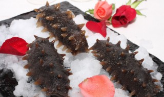 海参的泡法方法(如何泡发海参)