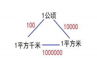 一公顷是多少平方米(什么是平方米)