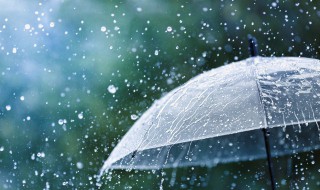 哗啦啦啦啦啦下雨了歌词(哗啦啦啦啦啦下雨了歌曲简介)