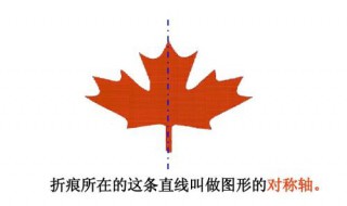 直径的定义(什么是直径)