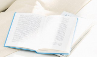 bdm是什么意思(bdm解释)