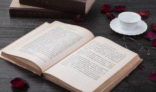 奈组词(奈怎么组词)