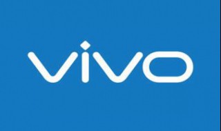 vivox21a参数详细参数(vivox21a的基本详细资料)