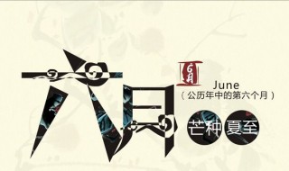 6.21是什么节日(6.21节日有什么)